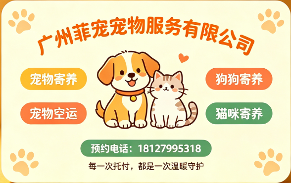 广州菲宠
